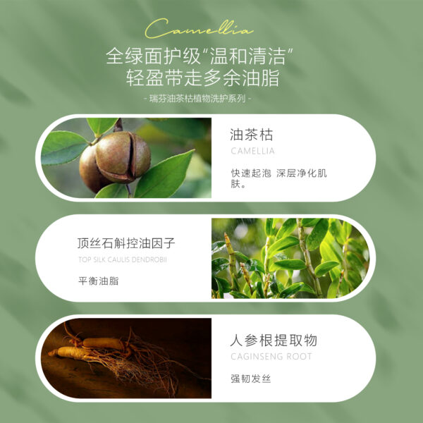 5 油茶枯植物洗護系列